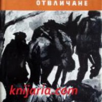 Библиотека Юношески романи: Тайнственото отвличане , снимка 1 - Други - 19463731