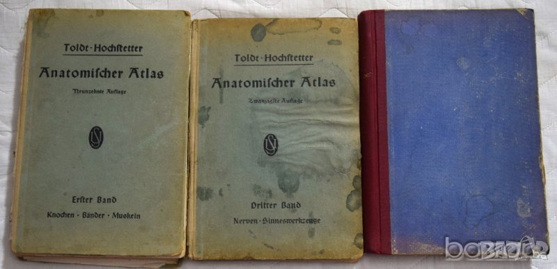 Toldt - Hochstetter Anatomischer Atlas Анатомичен атлас на човешкото тяло на немски език, снимка 1