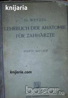 Lehrbuch der Anatomie für Zahnärzte und Studierende der Zahnheilkunde , снимка 1