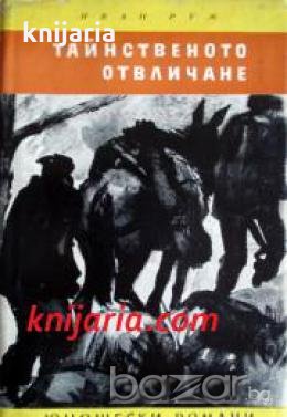 Библиотека Юношески романи: Тайнственото отвличане , снимка 1 - Други - 19463731