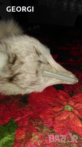 яка сребърна лисица нова, снимка 3 - Шапки - 21490057