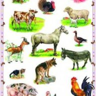 Табло – Животните във фермата, снимка 1 - Художествена литература - 15066376