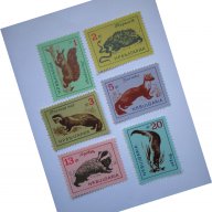 български пощенски марки - животни 1963, снимка 1 - Филателия - 16745492