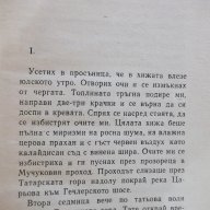 Книга "Южняк - Димитър Вълев" - 220 стр., снимка 3 - Художествена литература - 17849044
