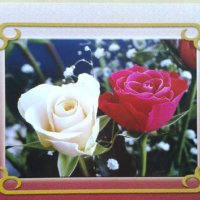Картички Рози А4, снимка 1 - Други - 22954509