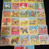 Картинки с кучета от 1 до 32, снимка 1 - Колекции - 22374154