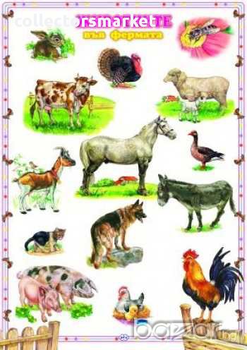 Табло – Животните във фермата, снимка 1