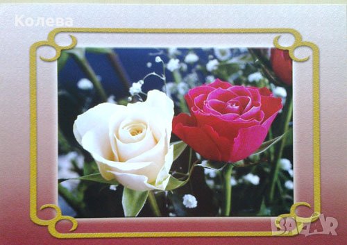 Картички Рози А4, снимка 1