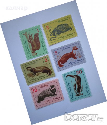 български пощенски марки - животни 1963