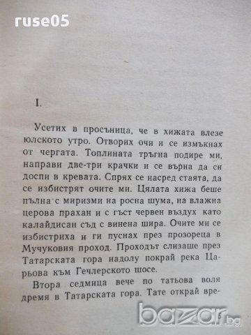Книга "Южняк - Димитър Вълев" - 220 стр., снимка 3 - Художествена литература - 17849044