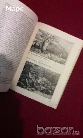 Викторина за гората , снимка 12 - Художествена литература - 9833762