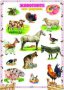 Табло – Животните във фермата, снимка 1 - Художествена литература - 15066376