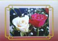 Картички Рози А4, снимка 1 - Други - 22954509