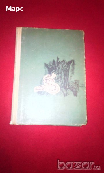 Квартеронката , снимка 1