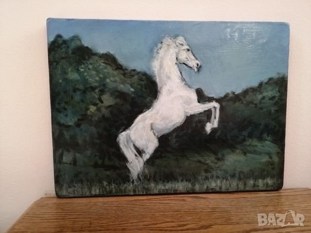 Картина  маслени бои. , снимка 3 - Картини - 25285718