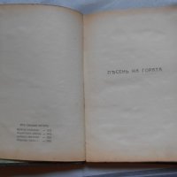 Георги Райчев -песен на гората 1928 г , снимка 4 - Художествена литература - 22324287