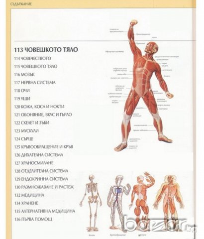 ФАКТОПЕДИЯ, снимка 4 - Енциклопедии, справочници - 20954739