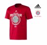 adidas Bayern Munich Champions T-Shirt, снимка 1 - Тениски - 22176126
