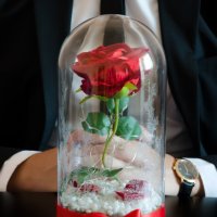 Вечна роза в ГОЛЯМА стъкленица / Уникален подарък за приятелка / Вечна роза от "Красавицата и звяра", снимка 1 - Декорация за дома - 23376361