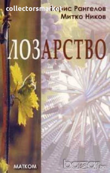 Лозарство, снимка 1