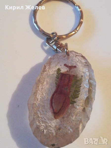 Ключодържател хербарий-154, снимка 1