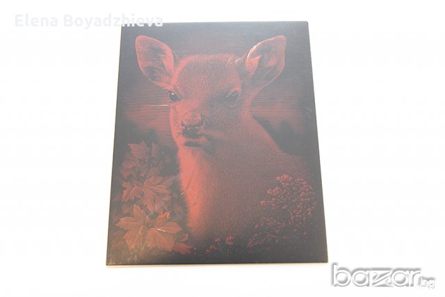 2 комплекта за гравиране, снимка 4 - Рисуване и оцветяване - 21325929