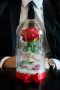 Вечна роза в ГОЛЯМА стъкленица / Уникален подарък за приятелка / Вечна роза от "Красавицата и звяра"