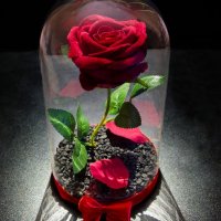 Вечна роза в голяма стъкленица - Уникален и стилен подарък