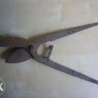 Старинни вет.медицински ножици за скопяване на животни, снимка 11 - Антикварни и старинни предмети - 11872098