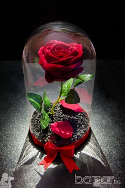 Вечна роза в голяма стъкленица - Стилен подарък за рожден ден на жена / Уникален подарък за юбилей, снимка 1