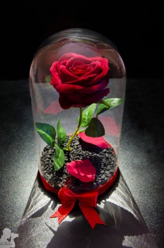 Вечна роза • Онлайн Обяви • Цени — Bazar.bg