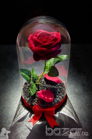 Вечна роза в голяма стъкленица - Уникален и стилен подарък, снимка 1