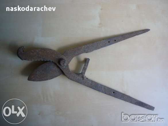 Старинни вет.медицински ножици за скопяване на животни, снимка 11 - Антикварни и старинни предмети - 11872098