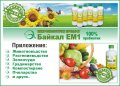 БИО Земеделие с ПРОБИОТИК Байкал ЕМ-1 . ОТЛИЧНИ резултати !, снимка 2