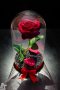Вечна роза в голяма стъкленица - Стилен подарък за рожден ден на жена / Уникален подарък за юбилей, снимка 1 - Декорация за дома - 19454247