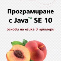 Програмиране с Java™ SE 10. Основи на езика в примери, снимка 1 - Специализирана литература - 22920452