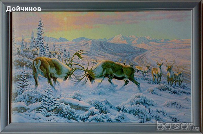 Северни елени, картина за ловци, снимка 1