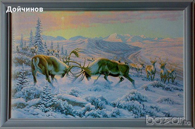 Северни елени, картина за ловци
