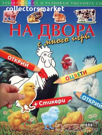 Забавлявам се и развивам уменията си. На двора, снимка 1 - Художествена литература - 14417643