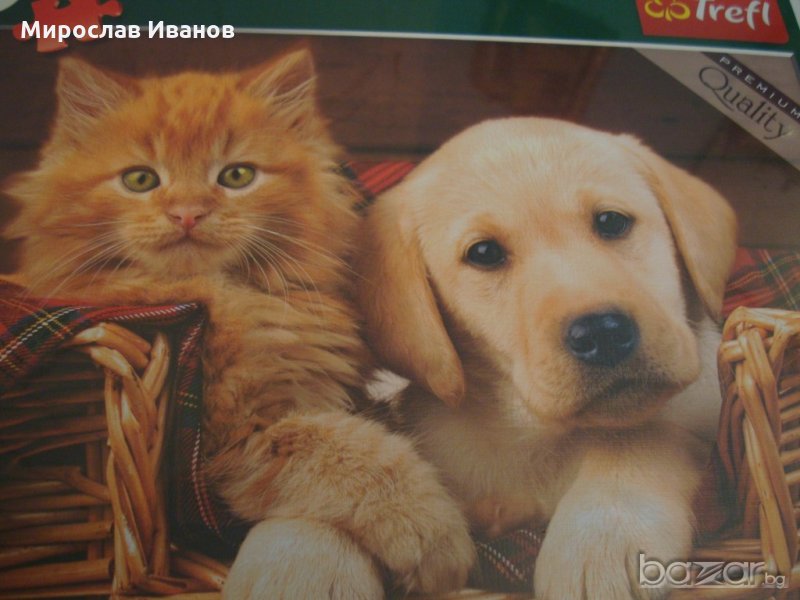 Сладки котенце и кученце - пъзел , снимка 1