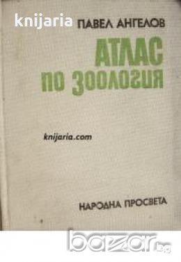 Атлас по зоология: Безгръбначни животни , снимка 1 - Учебници, учебни тетрадки - 18891198