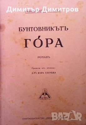 Бунтовникътъ Гора Рабиндранат Тагор, снимка 1