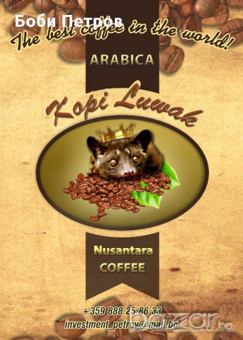 Копи Лувак - най Уникалното и скъпо кафе в света, снимка 2 - Други стоки за дома - 10644369