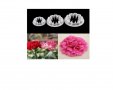 Комплект от 3 бр. резци за цветя - карамфилчета – за фондан или сладки, снимка 1 - Форми - 21388205