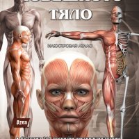 Човешкото тяло. Илюстрован атлас, снимка 1 - Енциклопедии, справочници - 25234110