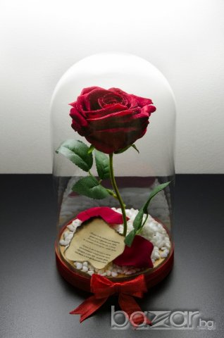 Вечна роза в голяма стъкленица - Уникален и стилен подарък, снимка 6