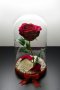 Вечна роза в голяма стъкленица - Стилен подарък за рожден ден на жена / Уникален подарък за юбилей, снимка 7