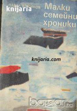 Малки семейни хроники: Ироничен роман 