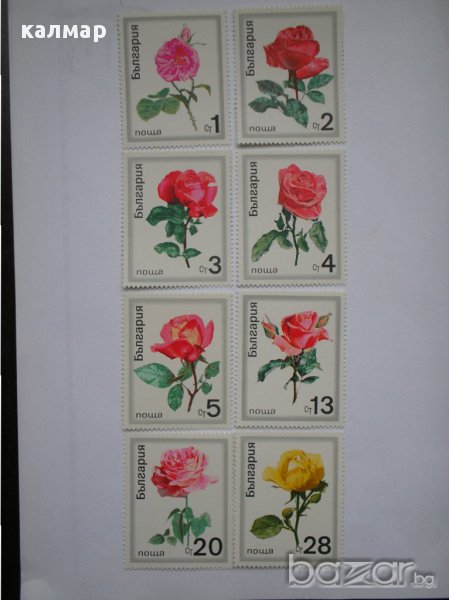български пощенски марки - рози 1970, снимка 1