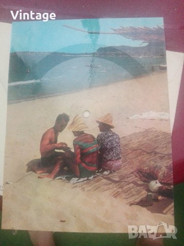 колекционерски плочи